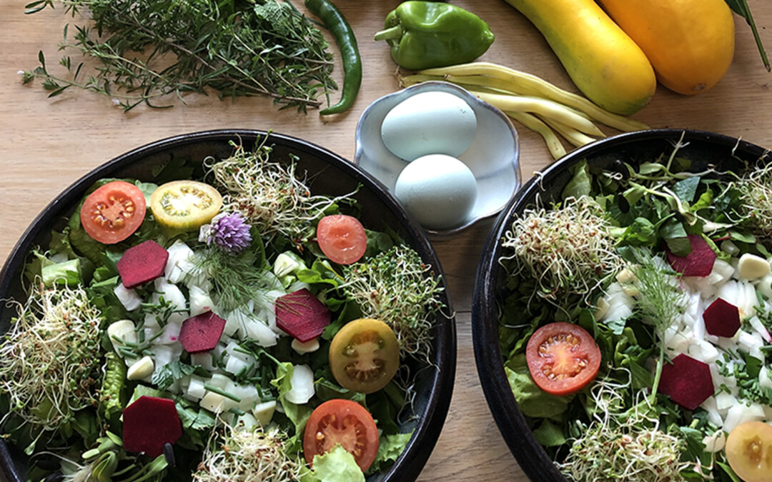 Salade merveilles du potager