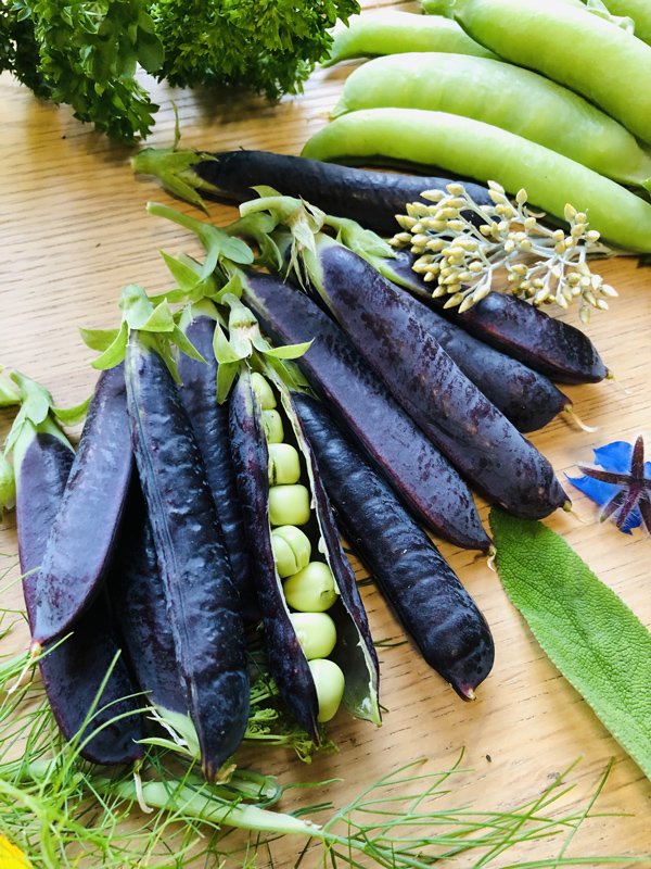 Cuisine_Energie_Mix-pois