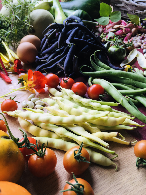 Cuisine_Energie_potager